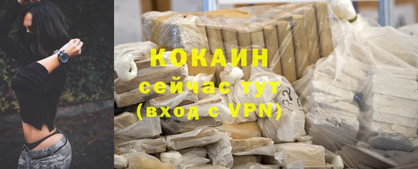 крисы Абаза