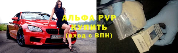 крисы Абаза