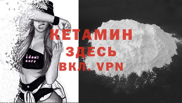 крисы Абаза