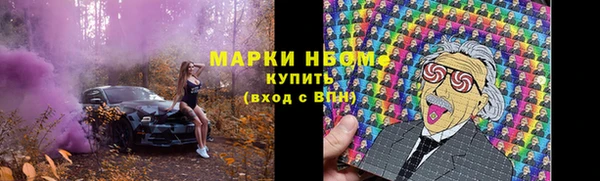 крисы Абаза