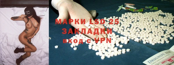 крисы Абаза