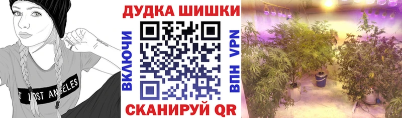 где продают Заринск Марихуана Ganja